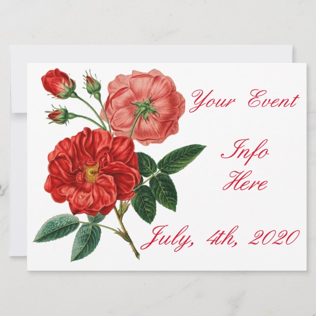 Vintage Red Rose Illustration Thunder_Cove (Front)