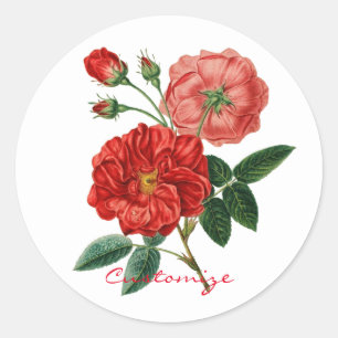 Vintage Red Rose Illustration Thunder_Cove Classic Round Sticker