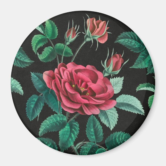 Vintage Red Rose Magnet (Front)