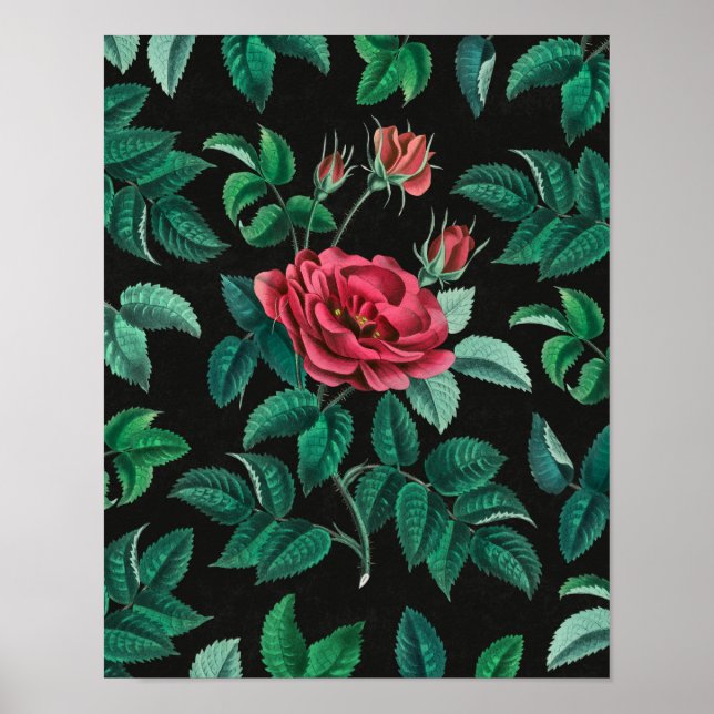 Vintage Red Rose Poster (Front)