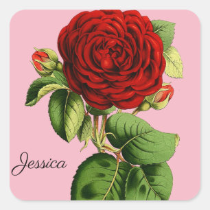 Vintage Red Rose with Your Name Square Sticker