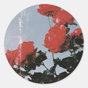 Vintage Red Roses Against a Blue Sky Classic Round Sticker