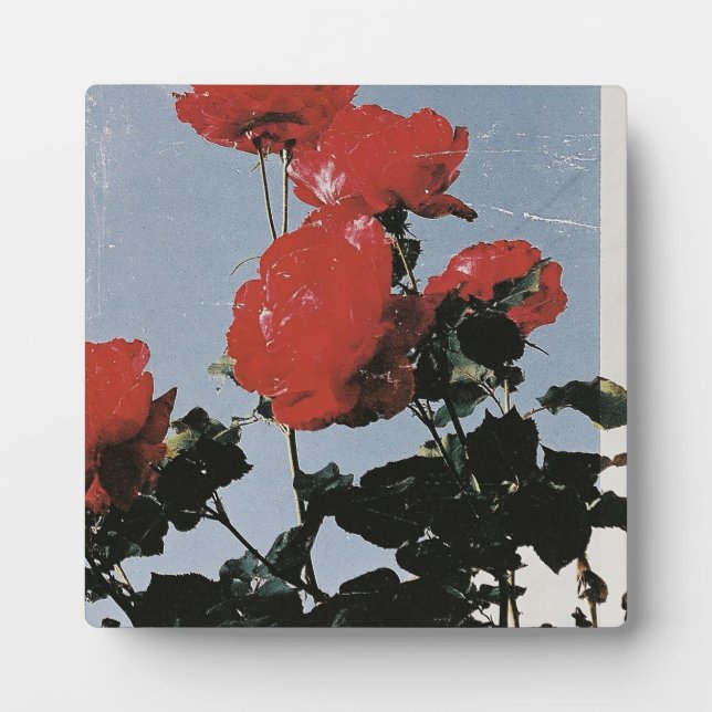 Vintage Red Roses Against a Blue Sky Plaque (Front)
