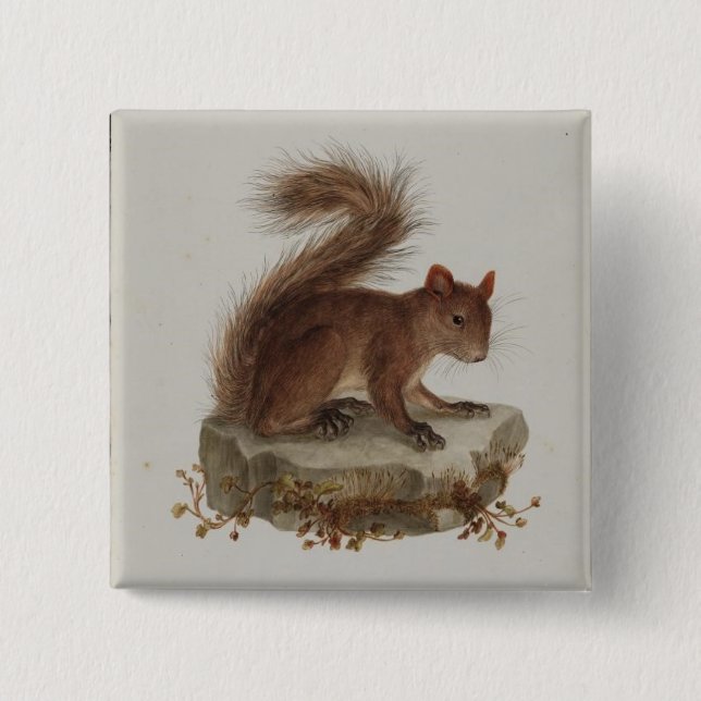 Vintage Red Squirrel Button (Front)