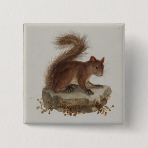 Vintage Red Squirrel Button