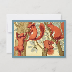 Vintage red squirrels illustration