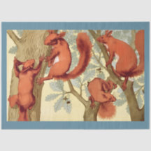 Vintage red squirrels nature illustration