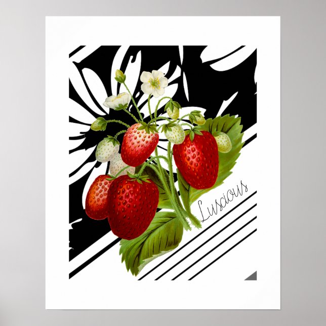 Vintage Red Strawberries Black White Graphic Poster (Front)