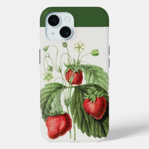 Vintage Red Strawberry Art iPhone 15 Case