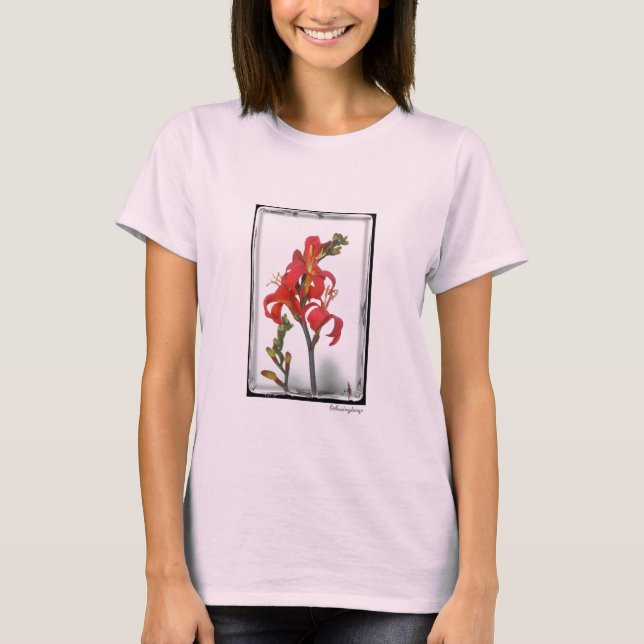 Vintage Red T-Shirt (Front)