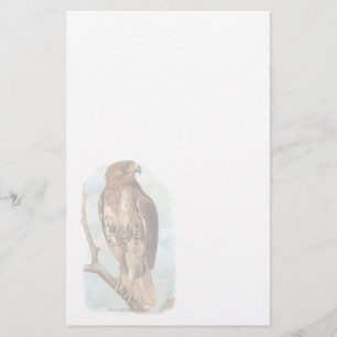 Vintage Red Tailed Hawk Stationery