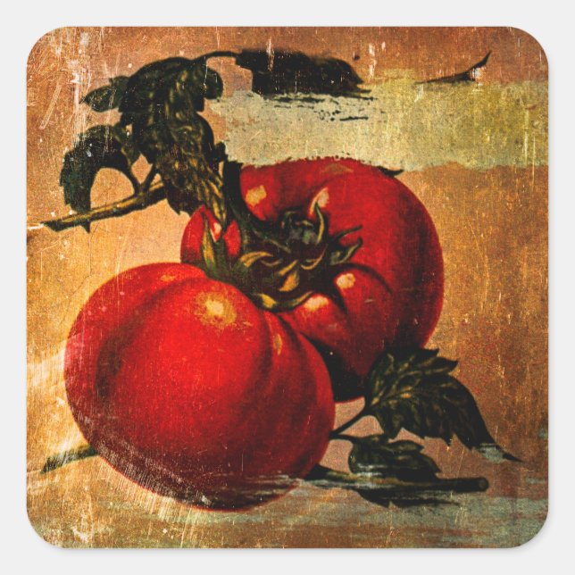 Vintage red tomatoes sticker (Front)