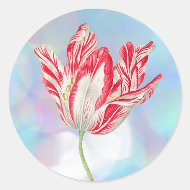Vintage Red Tulip Stickers (Front)
