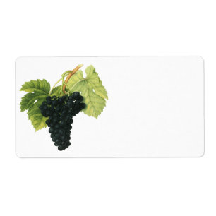 Vintage Red Wine Organic Grape Cluster, Food Fruit