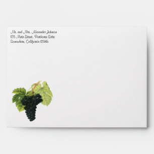 Vintage Red Wine Organic Grape Cluster, Food Fruit Envelopes