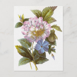 Vintage Redoute Flower Bouquet Postcard