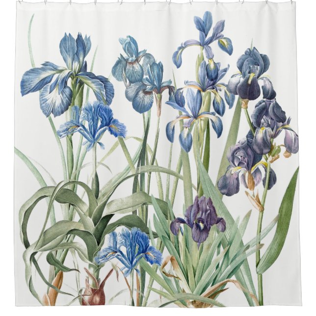 Vintage Redoute Iris Flower Garden Shower Curtain (Front)