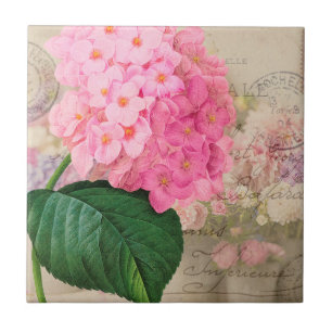 Vintage Redoute Pink Hydrangea Ceramic Tile