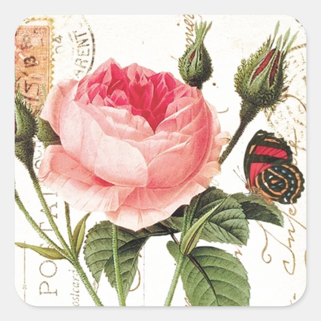 Vintage Redoute Rose Square Sticker (Front)