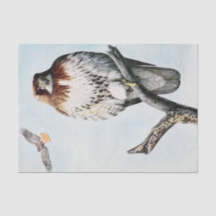Vintage redtail hawk watercolor tissue paper