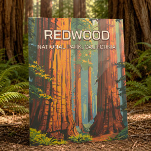 Vintage Redwood National Park California Retro Postcard