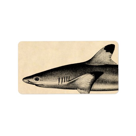 Vintage Reef Shark Illustration Black Tipped Address Label