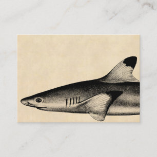 Vintage Reef Shark Illustration Black Tipped Business Card