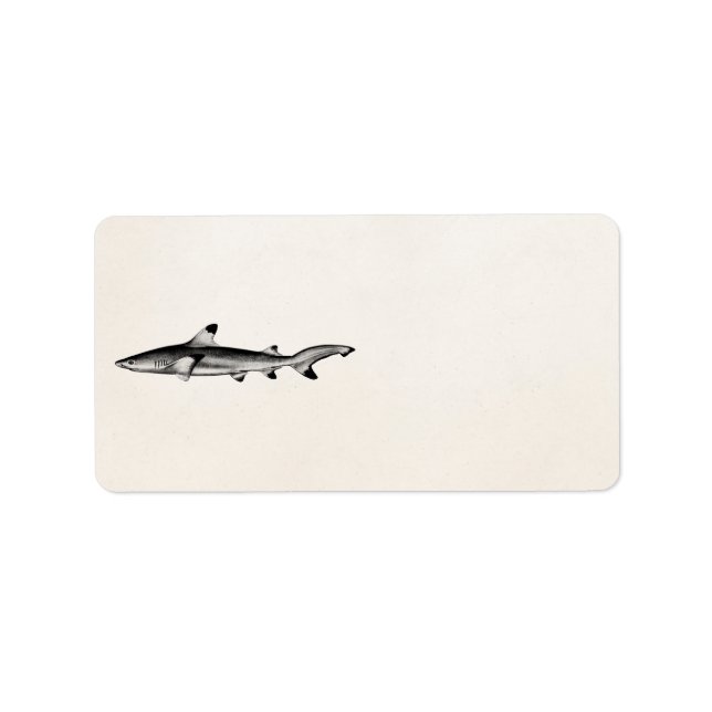 Vintage Reef Shark Illustration - Black Tipped Label (Front)