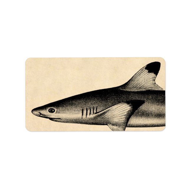 Vintage Reef Shark Illustration Black Tipped Label (Front)