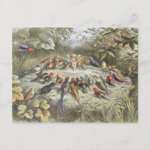 Vintage Rehearsal in Fairyland Postcard