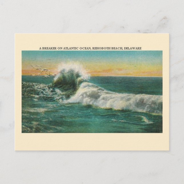 Vintage Rehoboth Beach Breaker Wave Postcard (Front)