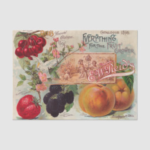 Vintage Reid's Catalogue 1896 Print Tissue Paper