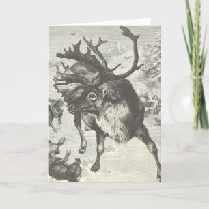 Vintage Reindeer Drawing Holiday Christmas Cards