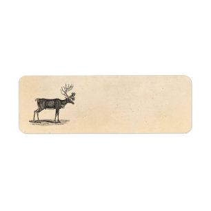 Vintage Reindeer Illustration - 1800's Christmas