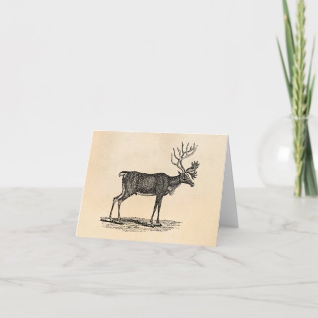 Vintage Reindeer Illustration - 1800's Christmas Holiday Card (Front)