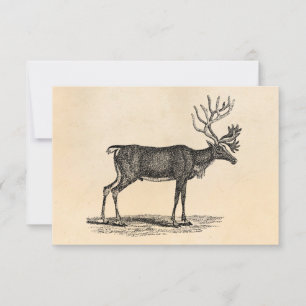Vintage Reindeer Illustration - 1800's Christmas Invitation