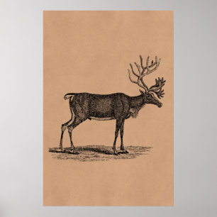 Vintage Reindeer Illustration - 1800's Christmas Poster