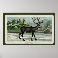 Vintage Reindeer Print