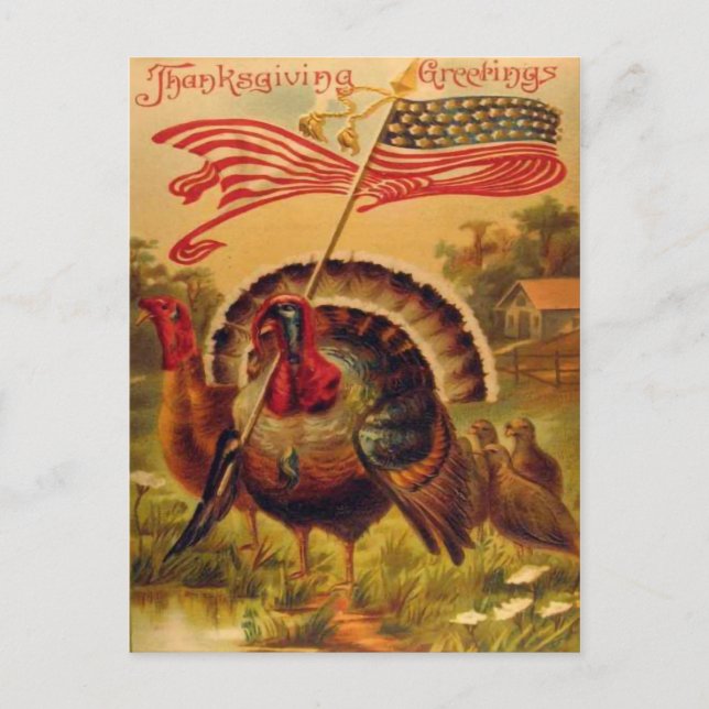 Vintage Reproduction Patriots Turkeys Thanksgiving Postcard (Front)