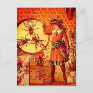 Vintage Retro Beekeeper Girl Bees Image Postcard