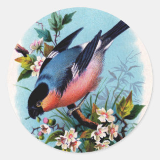 Vintage Retro Bird on a Branch Stickers