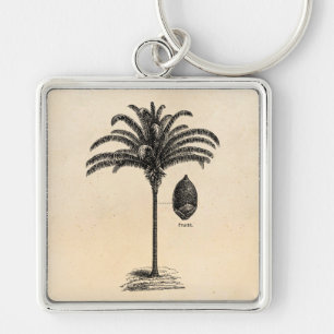 Vintage Retro Brazilian Palm Tree Template Palms Key Ring