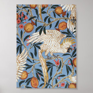 Vintage Retro Cockatoo and Pomegranate Pattern Poster
