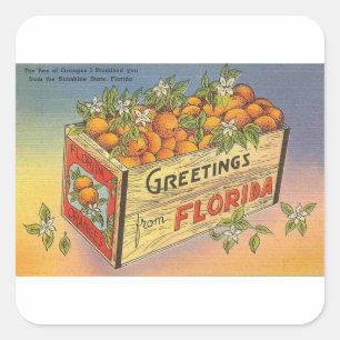 Vintage Retro Florida Oranges Square Sticker