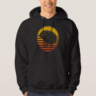 Vintage Retro Hedgehog Hoodie