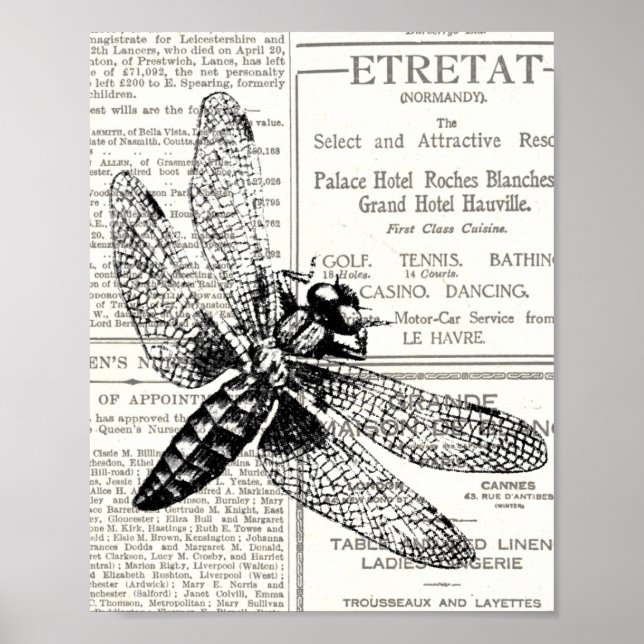 Vintage Retro Insect Newspaper Black and White Poster (Front)