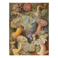 Vintage-Retro Magic Mushrooms
