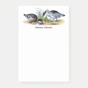 Vintage Retro Mallard Duck Print Optional Name Post-it Notes