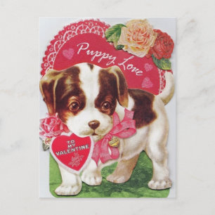 Vintage Retro Puppy Love Valentine's Day Holiday Postcard