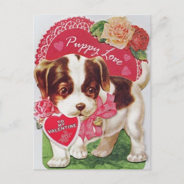Vintage Retro Puppy Love Valentine's Day Holiday Postcard (Front)